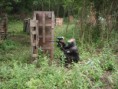 /album/war-of-hunters/p6190106-jpg/